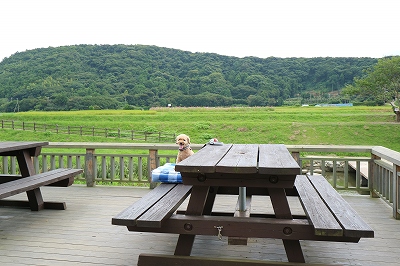 e0227996_20480.jpg