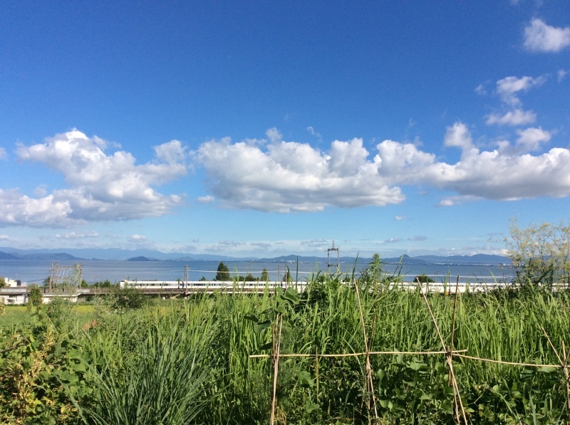 b0220002_21315195.jpeg