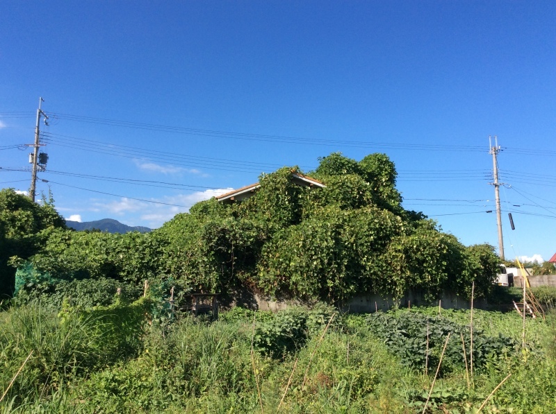 b0220002_21414964.jpeg