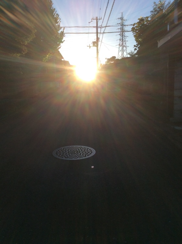 b0220002_21481578.jpeg
