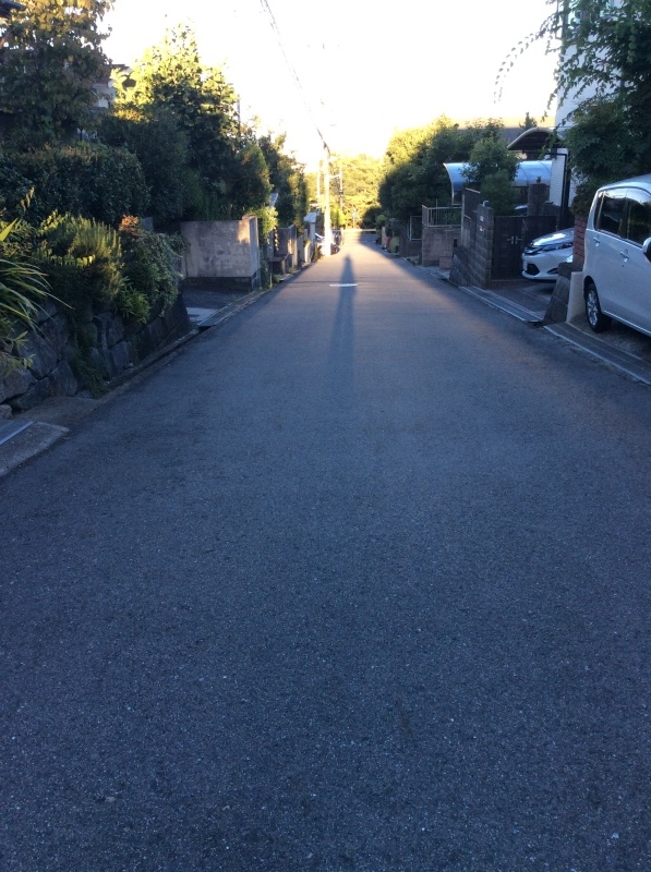 b0220002_21482738.jpeg