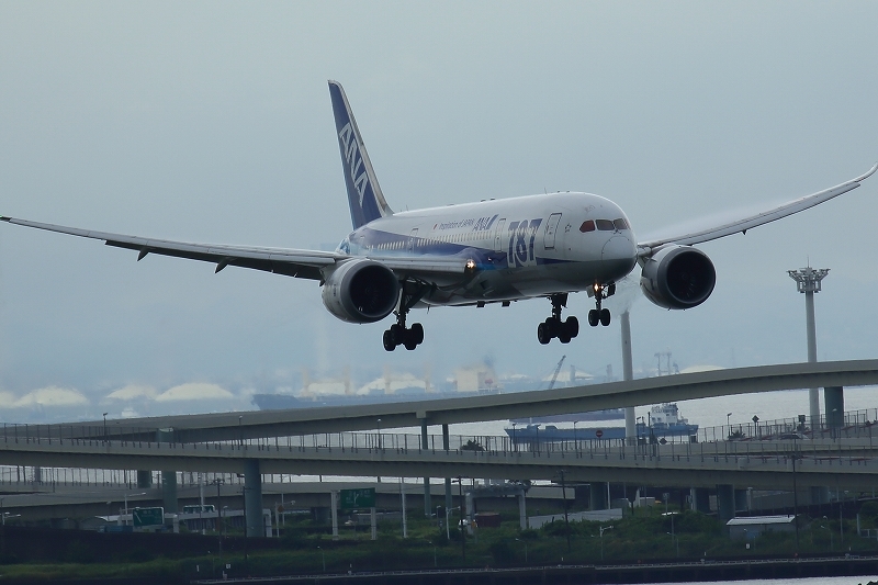 雨の土曜日は濡れずに飛行機が撮れる羽田空港へ 新しい望遠レンズの試し撮り 旅プラスの日記 雨の土曜日は濡れずに飛行機が撮れる羽田空港へ 新しい望遠レンズの試し撮り 旅プラスの日記