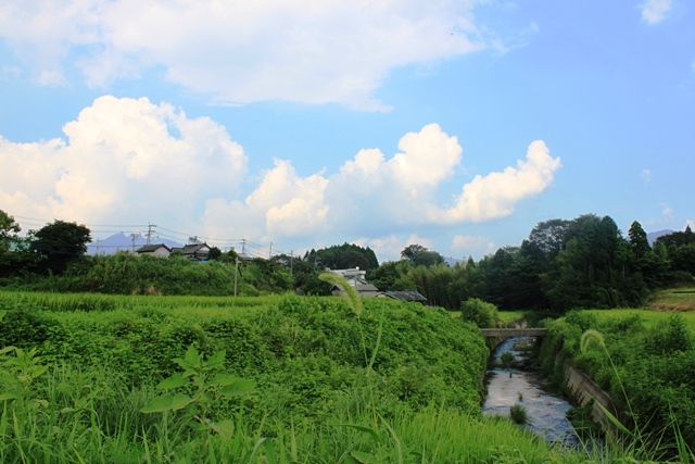c0368903_17583522.jpg