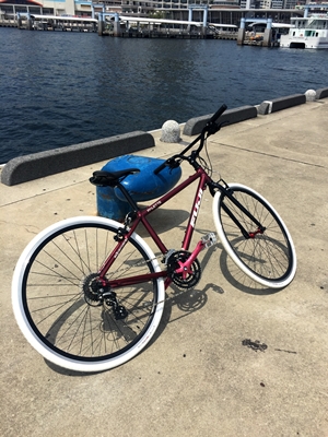 今週いっぱいで出品取り下げ【ハンドルカスタム】 FUJI クロスバイク