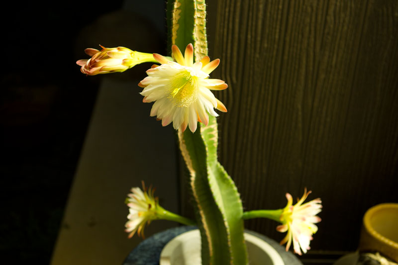 b0204710_991669.jpg