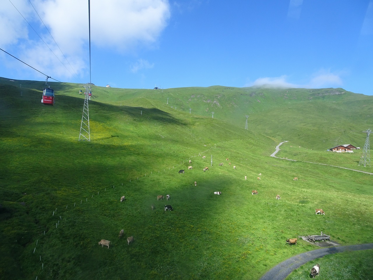 c0337813_23014745.jpg