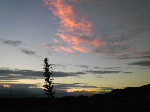 b0285619_91957100.jpg