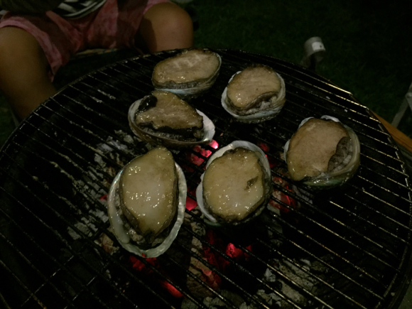 f0198620_16395591.jpg