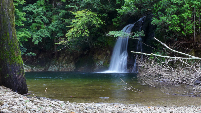 久々の滝巡り【熊野川の滝】_b0356221_19204078.jpg