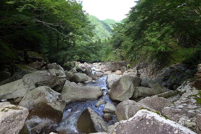 久々の滝巡り【熊野川の滝】_b0356221_19211283.jpg