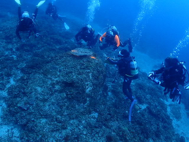 c0115421_20571548.jpg