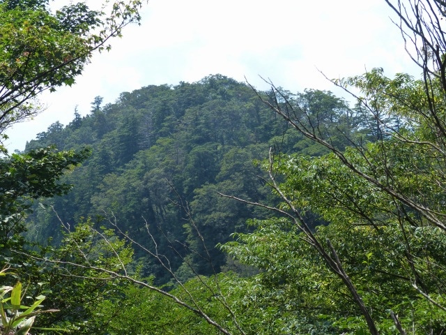 f0193521_1946631.jpg