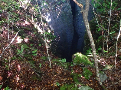 f0193521_9572035.jpg
