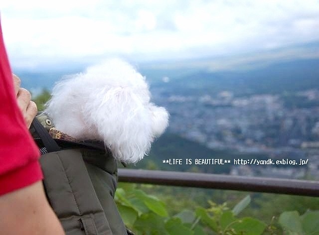 夏休み旅行@河口湖*2016①_d0083623_22304994.jpg