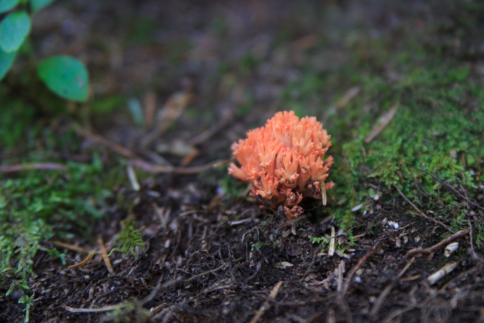 b0243727_822265.jpg