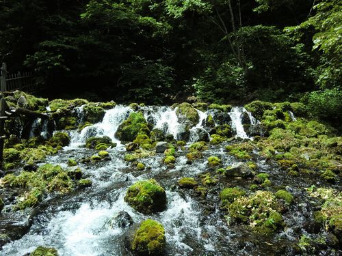 ２０１６年　北海道の旅　第６弾_f0150427_1122198.jpg