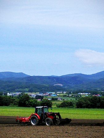 ２０１６年　北海道の旅　第６弾_f0150427_11272314.jpg