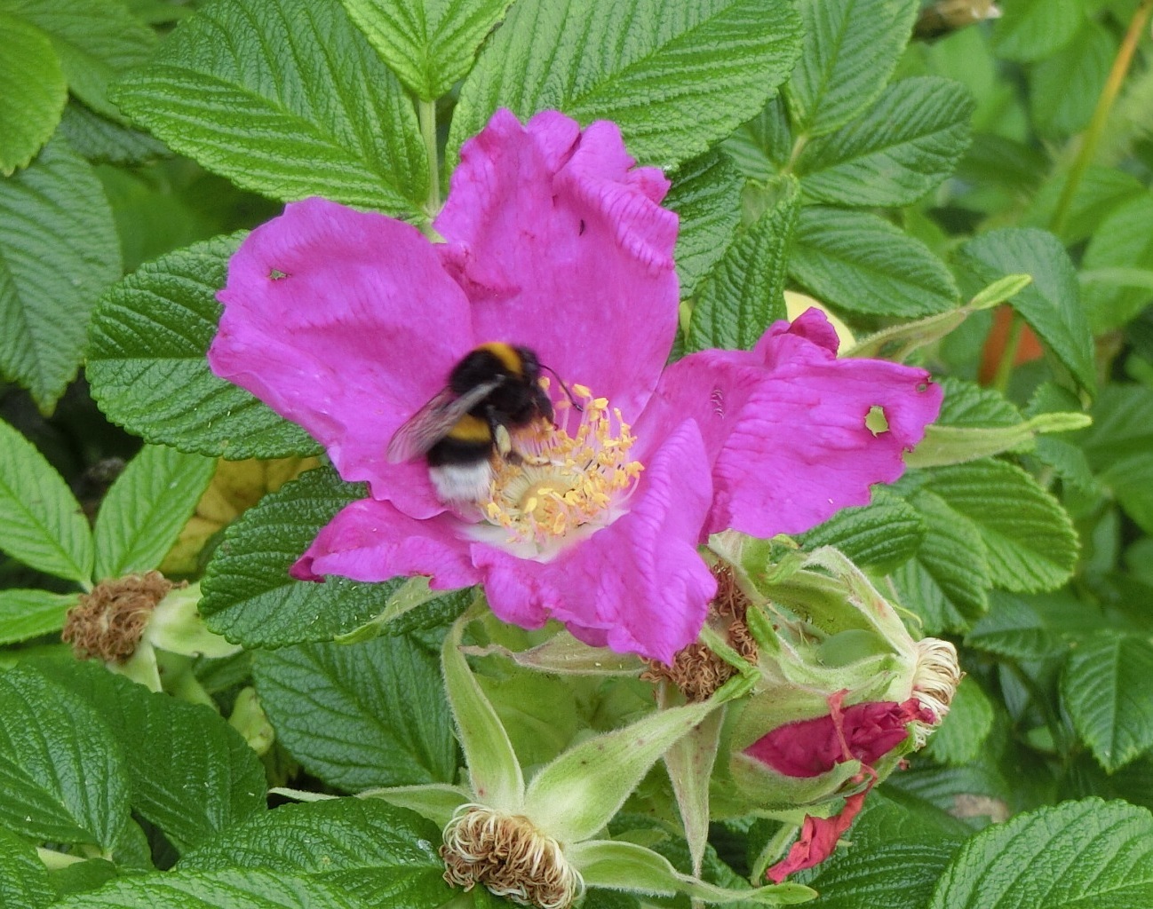 f0354435_11241692.jpg