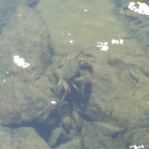 b0323340_20314821.jpeg
