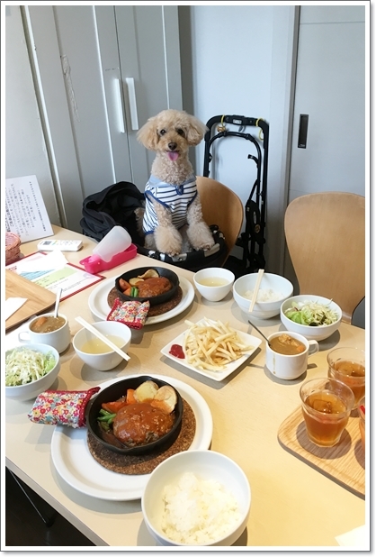 【武蔵浦和】店内犬OK 『欧風料理の店 TIKAL』ハンバーグランチ♪_c0311342_18554818.jpg