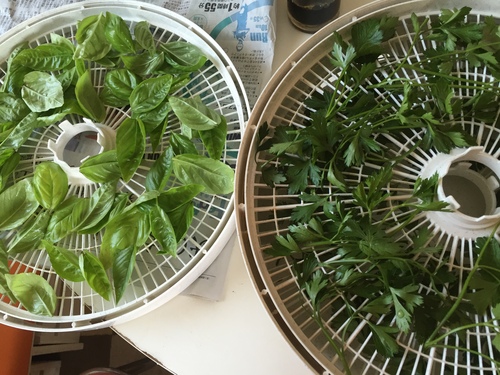 夏休み~_c0331145_21523639.jpg