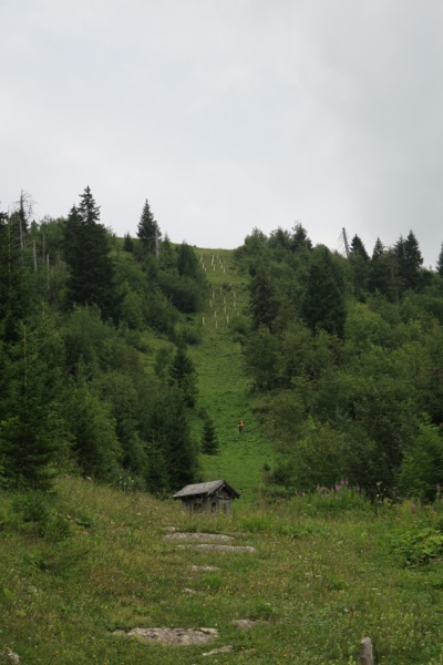 e0356046_19371586.jpg