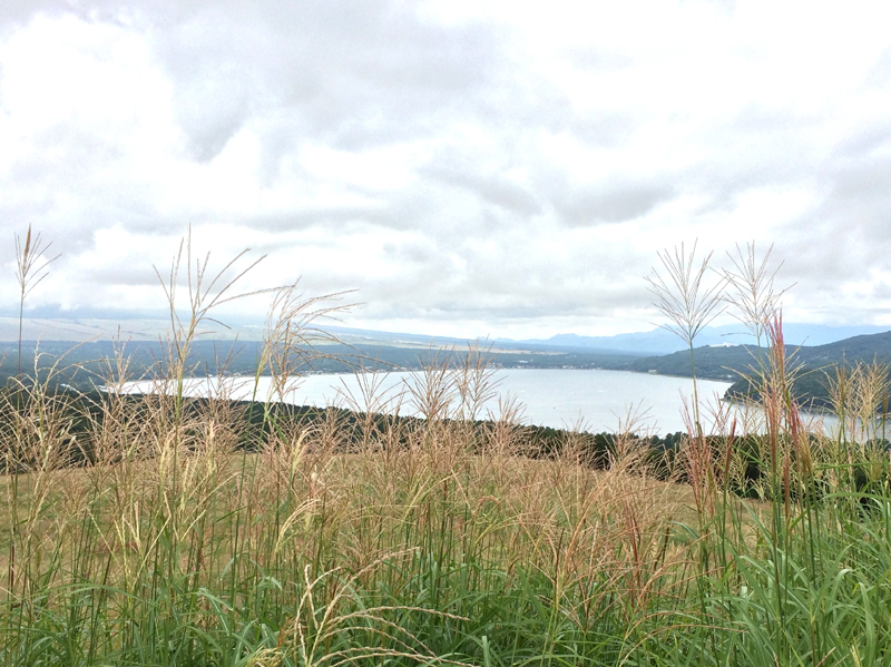 b0325549_23261075.jpg