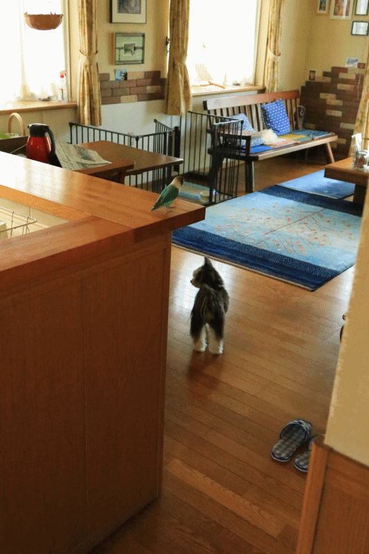 c0145250_10370004.gif