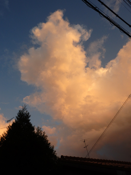 d0218056_19495877.jpg