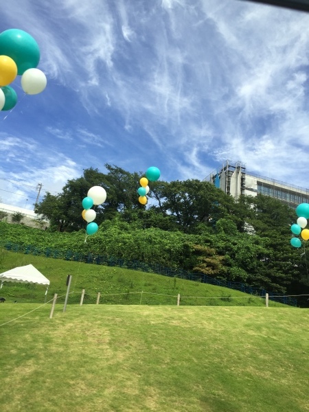 d0259356_21585301.jpeg