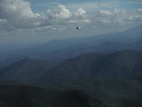 船形山のUMA（謎の未確認飛行生物）写真を撮った_c0294658_22283852.jpg