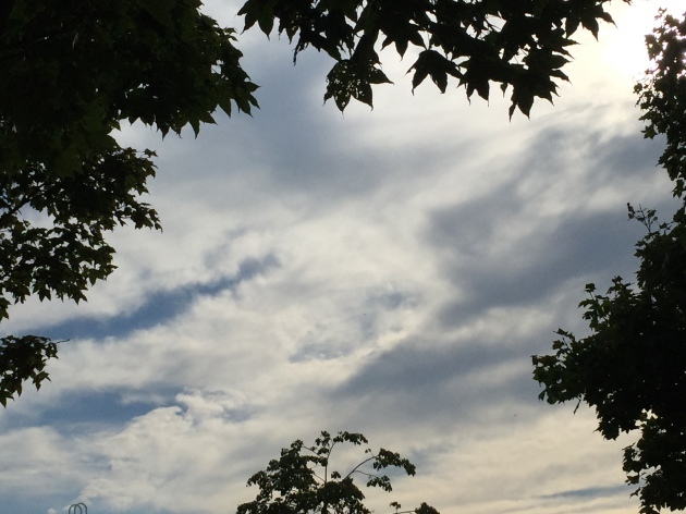 台風が来るって!!_a0337860_23395285.jpeg