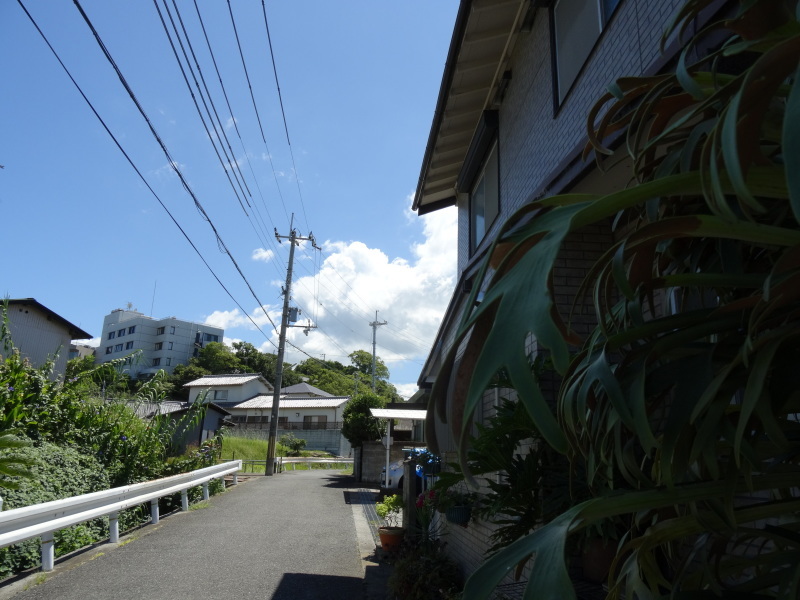 c0108460_15573739.jpg