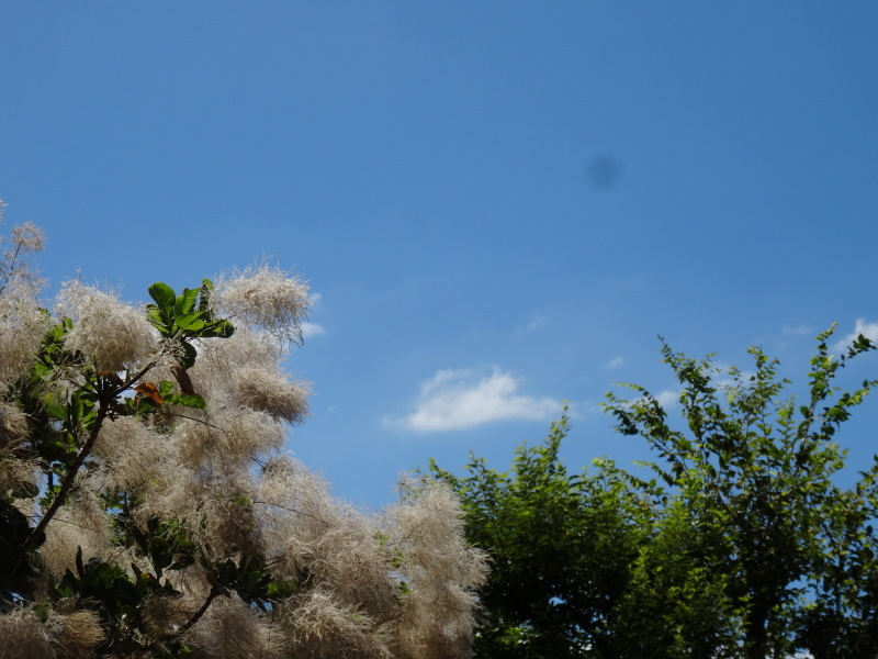 c0108460_15574499.jpg