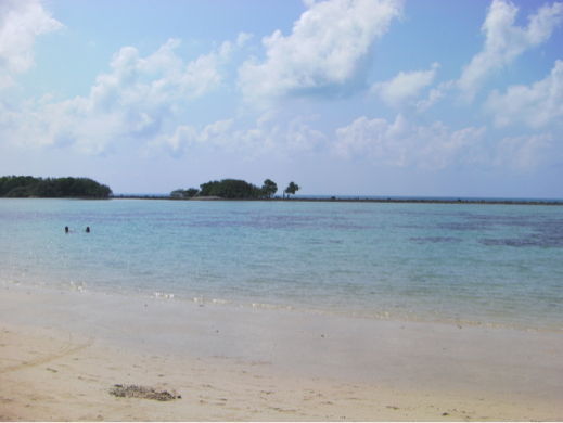 b0369486_01343502.jpg
