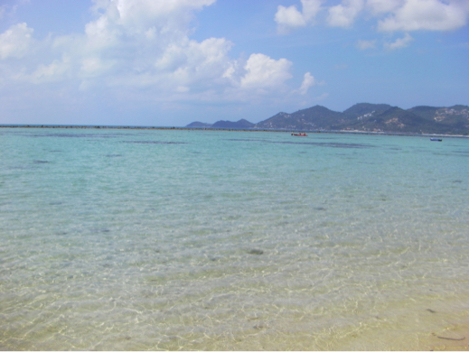 b0369486_01343618.jpg
