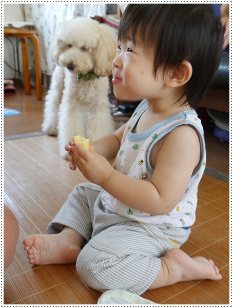 今日1日のあれこれ、とりとめもないことばかりですが。。。備忘録_b0175688_23145477.jpg