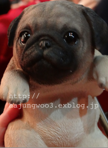 e0148490_23442142.png