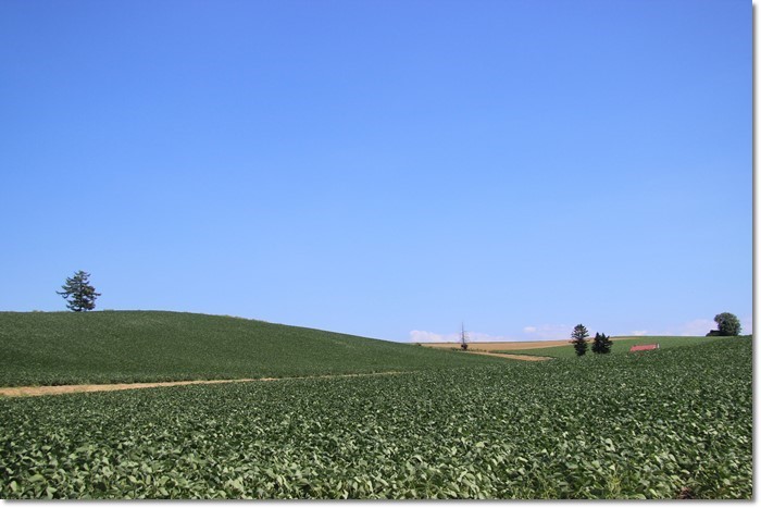 f0146493_22075007.jpg