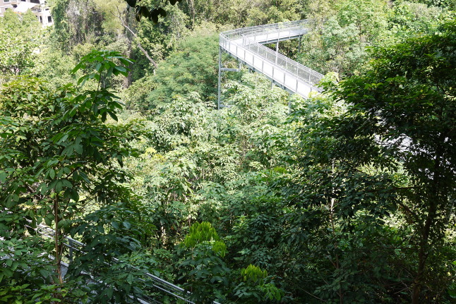 b0183295_11214544.jpg