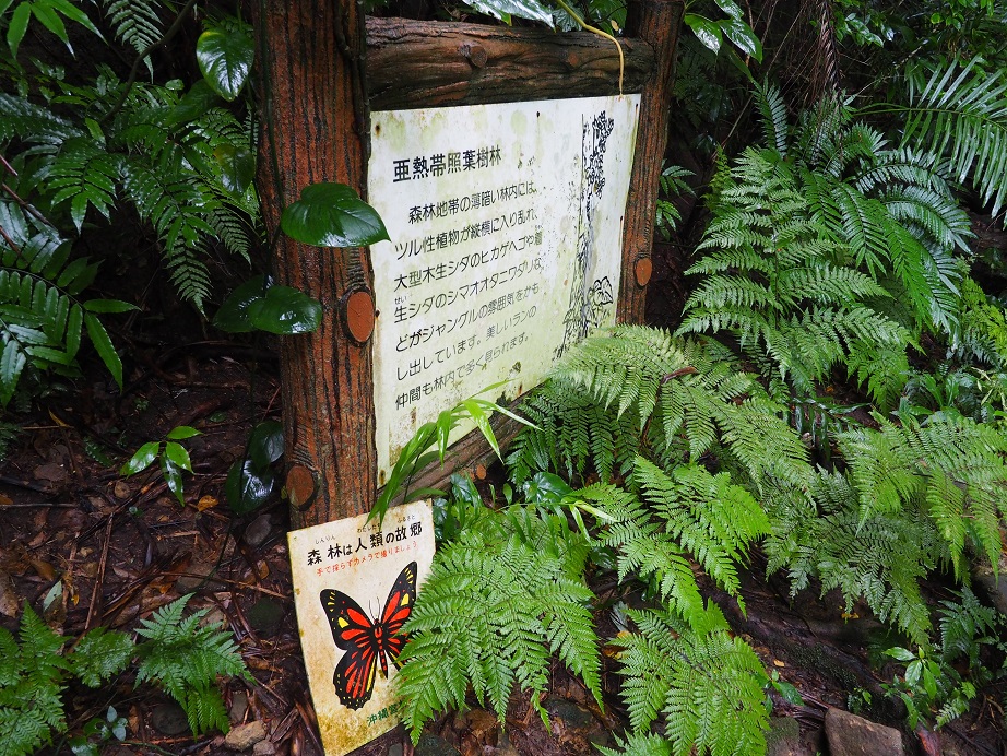 e0067595_21474148.jpg