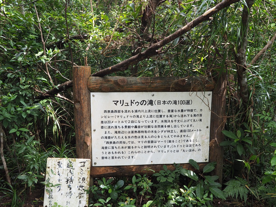 e0067595_21481537.jpg