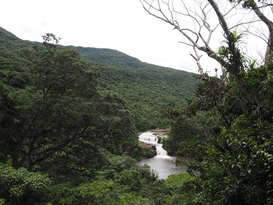 e0067595_21482859.jpg
