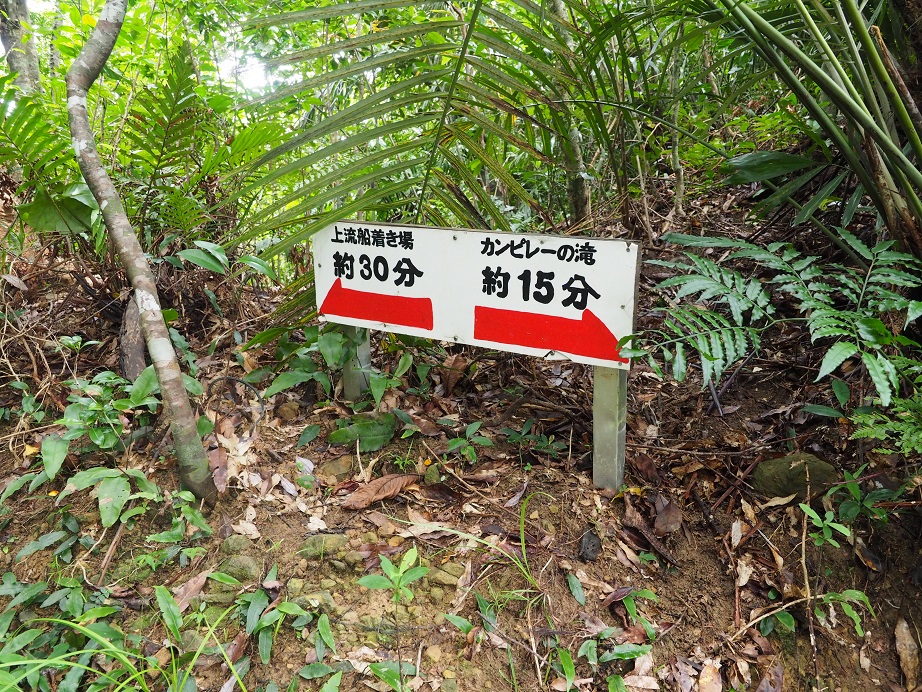 e0067595_21484241.jpg