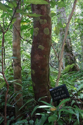 d0341811_22213200.jpg