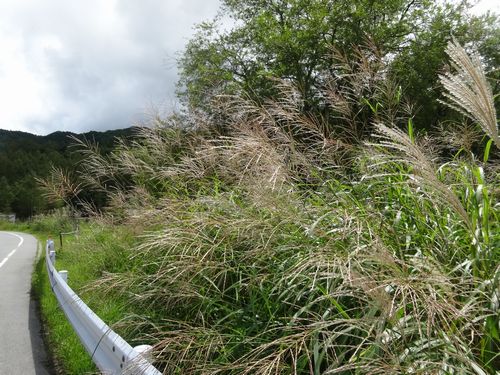 8月22日（月）　台風9号_d0048312_2184733.jpg