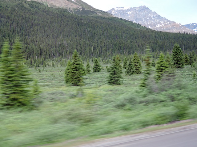 f0046614_157040.jpg