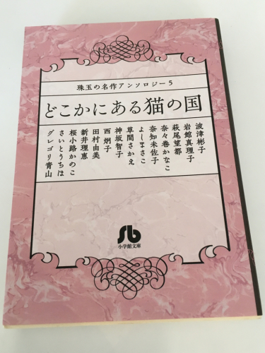 フジモトアズサさん納品と上通アイスキャンデーとキタカゼパンチさんお知らせと明日からひよこお休み_f0369914_16221776.jpg