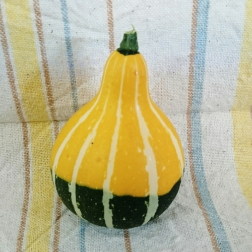 c0213817_15561164.jpg