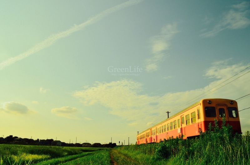 夕焼け待ちの小湊鉄道_f0321522_10015087.jpg